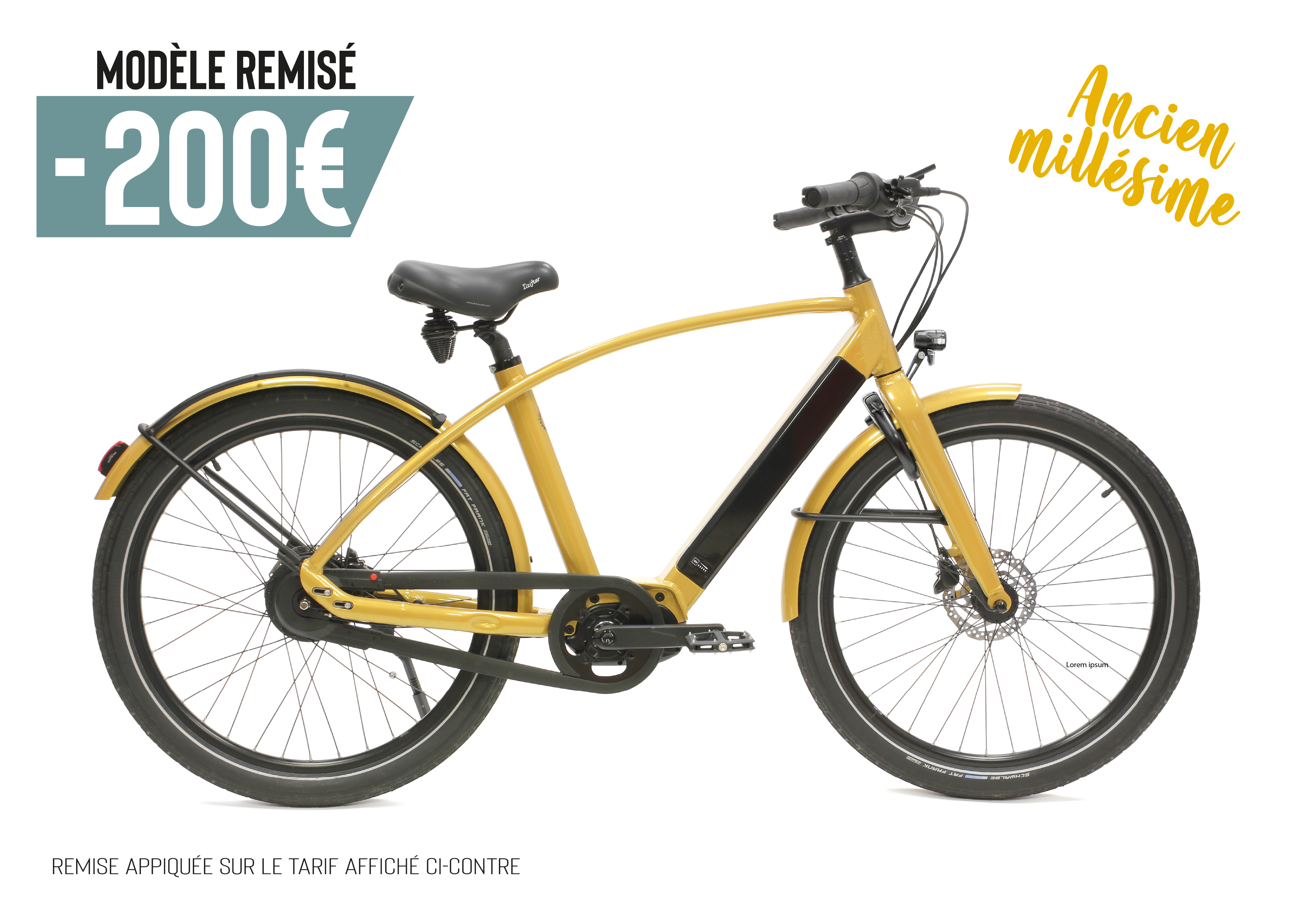 Reine Hombre Conectado